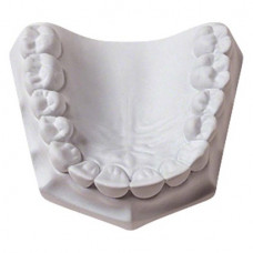 Orthodontic Stone - Karton 15 kg Gips white