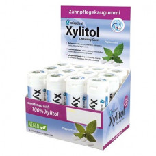 Xylitol Packung Display, 12 x 30 darab, pfefferminz