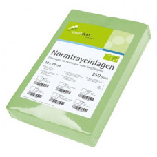 smartdent Normtrayeinlagen Packung 250 darab, 28 x 18 cm, grün