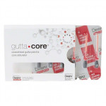 gutta•core® obturátor, ISO 040, 6 darab