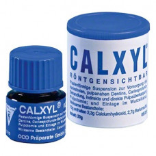 CALXYL® Packung 20 g Paste kék