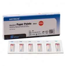 Papírcsúcs (29 mm) (2 %) (ISO 55), ISO 55 sterilen csomagolva, fehér, Papír, 29 mm, 180 darab
