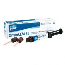 OmniCEM SE - Packung 5 g Automix Spritze, 10 Kanülen