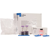 IvoBase® Hybrid Kapsel szett, 20 vordosierte Kapseln clear