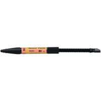 SR Nexco® - Spritze 2,5 g PASTE dentin B2