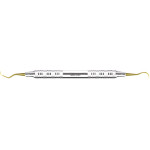 Scalers XP Technology® - 1 db, AESN137XPZ, silber, anterior, Edelstahlgriff - AESN137XPZ