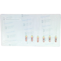 READYSTEEL C+ Files, gyökércsatorna reszelő, kézi, 21 mm ISO 006, 6 darab