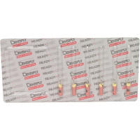 READYSTEEL C+ Files, gyökércsatorna reszelő, kézi, 25 mm ISO 006, 6 darab