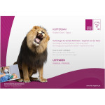 KKD® Kofferdam Leitfaden - 1 db - 5600