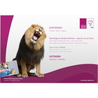 KKD® Kofferdam Leitfaden - 1 db - 5600