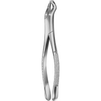 Zahnzange nach Nevius, 1 darab, DI188R, rechts, Amerikanisches Modell