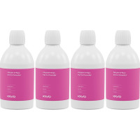 PROPHYflex Perio Powder Packung 4 x 100 g