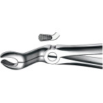 Zahnzangen, 1 darab, OK für Weisheitszähne