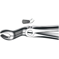 Zahnzangen, 1 darab, OK für Weisheitszähne