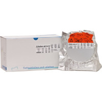 Erkoloc-pro green Packung 50 darab, Ø 120 mm, Stärke 2 mm