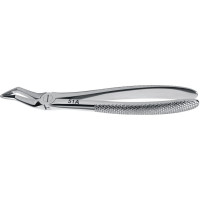 Wurzelzange Englische Form - 1 db, 152-51A, felső - 152-51A