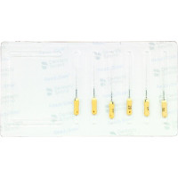 READYSTEEL C+ Files, gyökércsatorna reszelő, kézi, 25 mm ISO 020, 6 darab