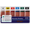 FKG Gutta Percha Packung 120 darab, Taper.02 ISO 015 FKG Gutta Percha Packung 120 darab, Taper.02 ISO 015
