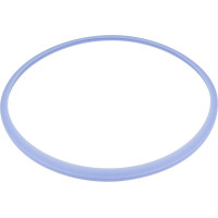 Silikon Türdichtung, 1 darab