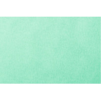 Dentalservietten - Karton 1.000 db zöld, 36 x 36 cm - WCNBA05-NEU-EG-C70 Dentalservietten - Karton 1.000 db zöld, 36 x 36 cm - WCNBA05-NEU-EG-C70