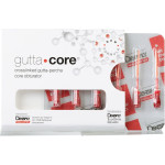 gutta•core® obturátor, ISO 025, 6 darab