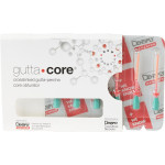 gutta•core® obturátor, ISO 035, 6 darab