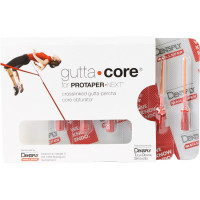 gutta•core® obturátor, X2, 6 darab