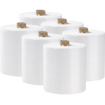 Omni-Z Papierrollen - Karton 6 x 100 m Rollen - 117478