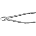 Zahnzangen Atraumair, 1 darab, #35 N