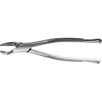 Zahnzangen, 1 darab, F210S OK 3 Molar