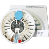 Classic Surtex Titan Wurzelstifte - Einführungsset 60 Stifte inkl. Zubehör - TST-60