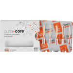 gutta•core® obturátor, rózsaszín, ISO 055, 6 darab