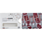 gutta•core® obturátor, rózsaszín, ISO 090, 6 darab