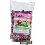 Xylitol Gum Kids Musterbeutel 2 x 200 darab, (Apfel, Erdbeere)