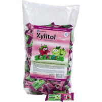 Xylitol Gum Kids Musterbeutel 2 x 200 darab, (Apfel, Erdbeere)