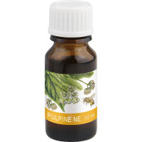 HOFFMANN´S PULPINE NE - flakon 10 ml Lösung - 84057
