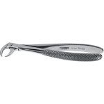 Wurzelzange Englische Form - 1 db, 152-86A, alsó Molaren - 152-86A
