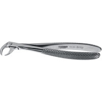 Wurzelzange Englische Form - 1 db, 152-86A, alsó Molaren - 152-86A