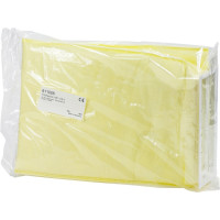 Ersatzfilter WP-Ex II - Packung 2 Stück