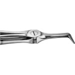 Zahnzangen, 1 darab, HSA 065-46, für untere Wurzeln