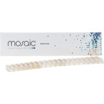 mosaic™ Shade Guide - 1 db - 4803
