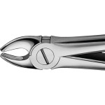 Anatomica-Zahnzangen - 1 db, DG032R, kurzes Maul, für obere Eckzähne - DG032R