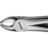 Anatomica-Zahnzangen - 1 db, DG032R, kurzes Maul, für obere Eckzähne - DG032R