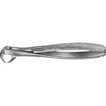 Anatomica-Zahnzangen - 1 db, DG573R, für untere Molaren, tiefgreifend, von lateral - DG573R