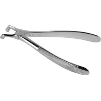 Zahnzangen, 1 darab, 153, OK Wurzel