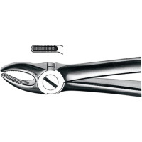 Zahnzangen, 1 darab, OK für Prämolaren