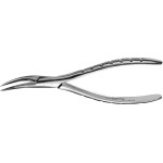 Zahnzangen Oberkiefer - Stück F300, obere Wurzeln