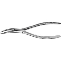 Zahnzangen Oberkiefer - Stück F300, obere Wurzeln