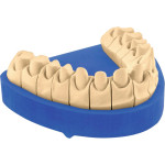 OCTA-ROCK ROYAL Packung 4 x 5 kg Gips hellbraun