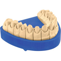 OCTA-ROCK ROYAL Packung 4 x 5 kg Gips hellbraun